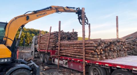 <a href=http://www.dnlx.com.cn/ target=_blank class=infotextkey>松木樁</a>現(xiàn)場(chǎng)選材與運(yùn)輸